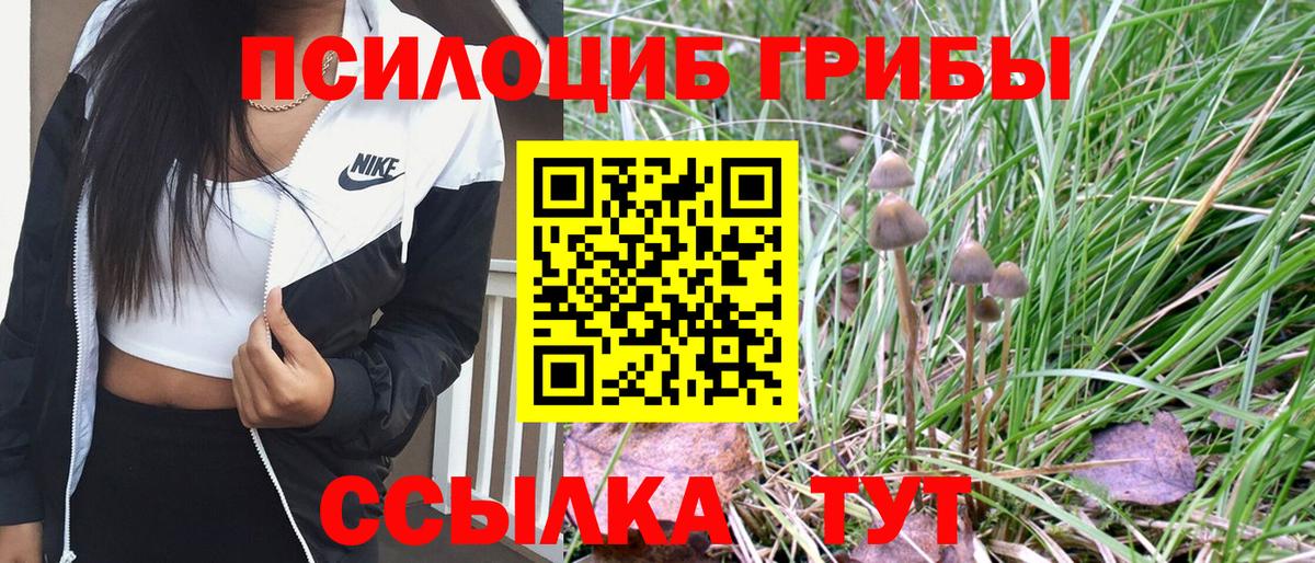 Галлюциногенные грибы Psilocybine cubensis Коркино