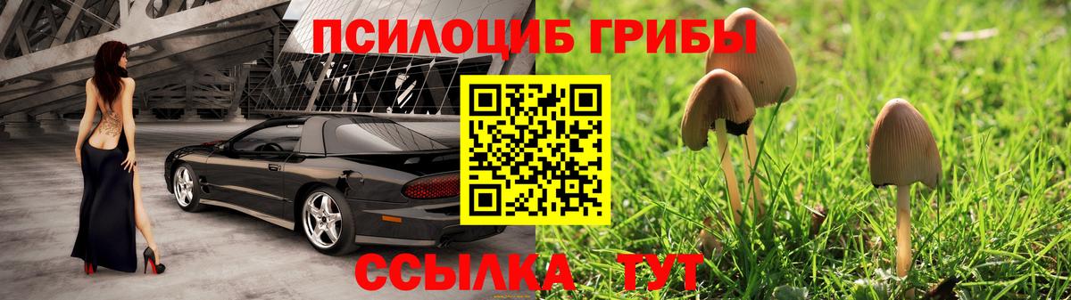 Псилоцибиновые грибы GOLDEN TEACHER  Вход с VPN  Коркино  Псилоцибиновые грибы ЛСД 