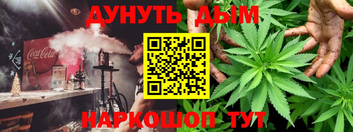 Конопля планчик Коркино